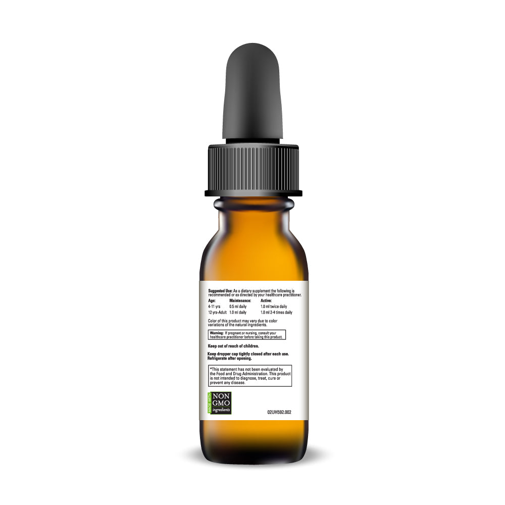 Metabolic Enhancer-Stress Reducer-Anxiety Support - DMG ADAPTOGEN